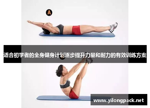 适合初学者的全身健身计划逐步提升力量和耐力的有效训练方案