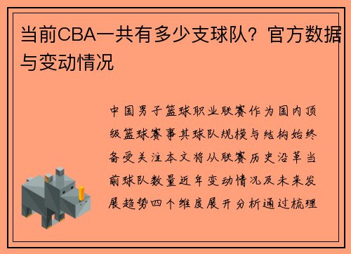 当前CBA一共有多少支球队？官方数据与变动情况