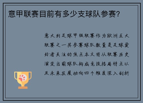 意甲联赛目前有多少支球队参赛？